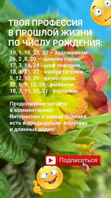 Твоя профессия в прошлой жизни по числу рождения / Ну? смотреть онлайн