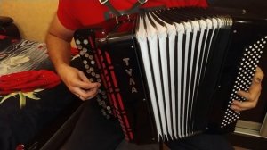 БАЯН ДЛЯ ОБУЧЕНИЯ. Тула 210 готово-выборный баян. БН-53.