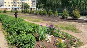 От мечты к реальности