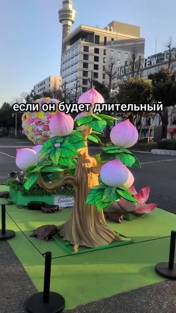 ПРАВДА о больничных в ЯПОНИИ. МОЙ личный ОПЫТ #shots #япон смотреть онлайн