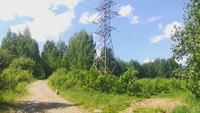 Весенняя страда 😅😎🐕