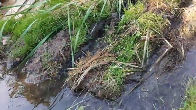 Лебёдка для мотоблока (самовытаскиватель)