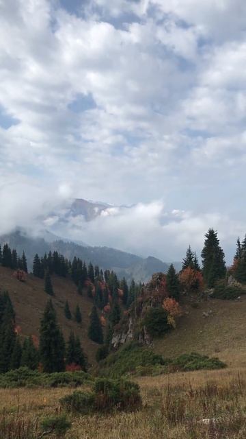 #осеннийпейзаж#туман#Алматы #горы #Восхождение # смотреть онлайн