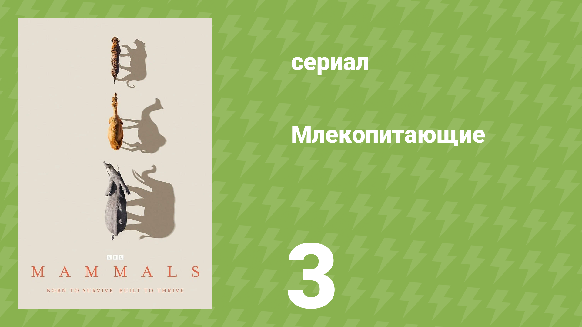 Млекопитающие 3 серия «Вода» (документальный сериал, 2024)