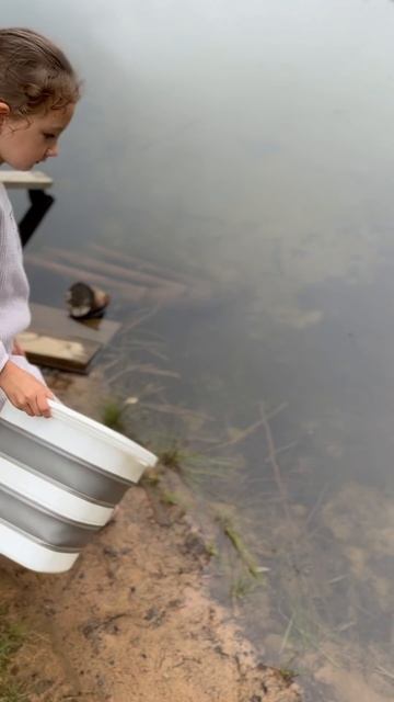 #поход #озеро #природа #лето #полина #август #палатки #ры смотреть онлайн