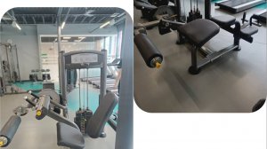 Сгибание голени сидя и лежа - почему есть разница в силе