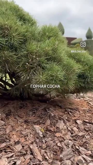 Не бывает ленивых людей, бывают цели, которые не вдохн? смотреть онлайн