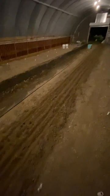 Культиватор Grillo работает в теплице смотреть онлайн