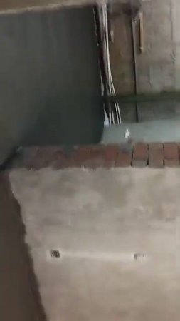 Затирка бетонных полов