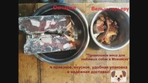 Мясо домашним собакам-Июнь-VI-2025