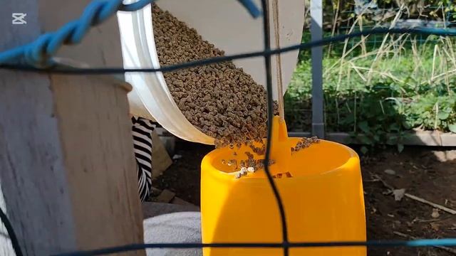 Поездка в город за кормом курам. Работы на хуторе. Жёлт смотреть онлайн