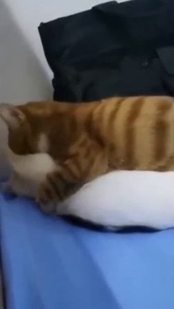 Никакого личного пространства