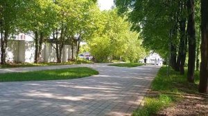 sadovyy ugolok Кипит жизнь в городском парке