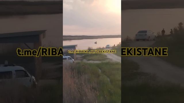 В УЗБЕКИСТАНЕ ЭКОЛОГИЯ НЕ РАБОТАЕТ БРОКОНЬЕРЫ НА ПОДВ