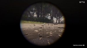 🌿Лист 9 - Справочник. По всем животным! Red Dead Redemption 2 📜?