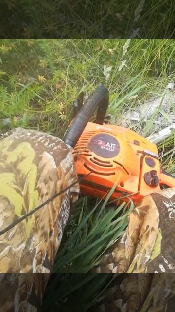 25 июля 2022 г. смотреть онлайн