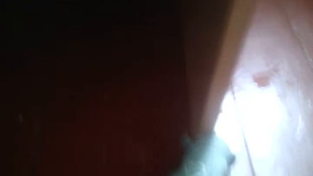 Бин и бодя подружились смотреть онлайн