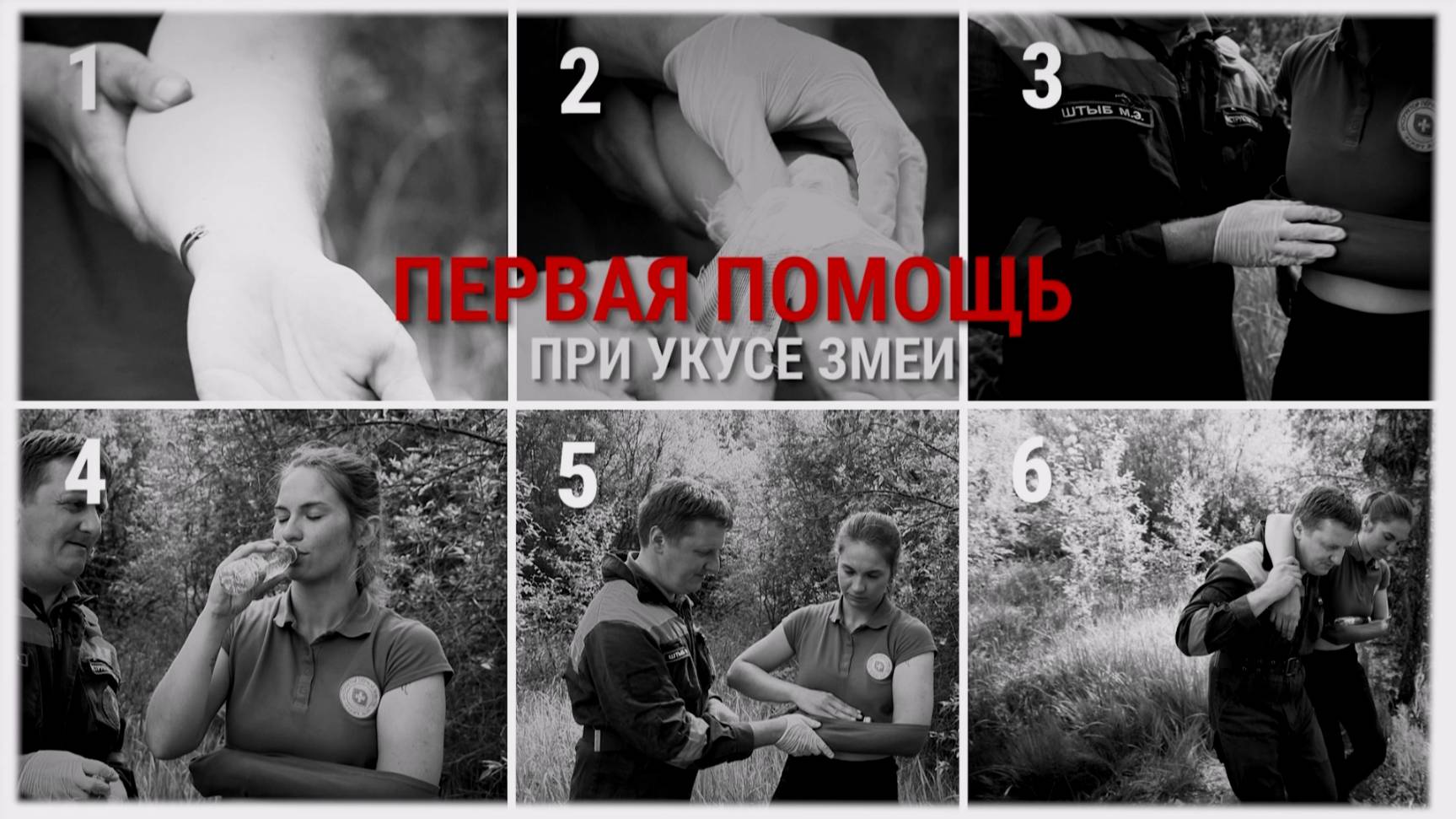 Первая помощь при укусе змеи