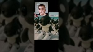 СПИДРАН ПО МАЛЕНЬКИМ ИТАЛЬЯНСКИМ ЖИВОТНЫМ