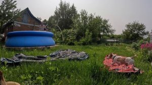 Дача 05.06.2025 год