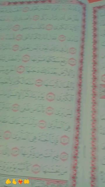 23 февраля 2025 г. смотреть онлайн