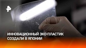 Пластик, растворяющийся в воде, создали в Японии / РЕН Новости