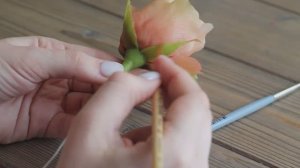 Обычная роза. Лепка из глины