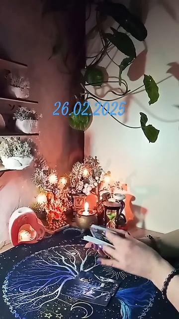 26 февраля 2025 карта дня смотреть онлайн