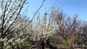 А счастье было так возможно. 2 часть ❤️Очень интересн?