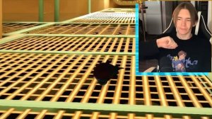 😭 МОЯ РЫБА МАНЬЯК СБЕЖАЛА | I’am fish