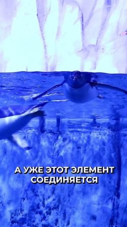 🤔 Гуано пингвинов защищает ледники Антарктиды