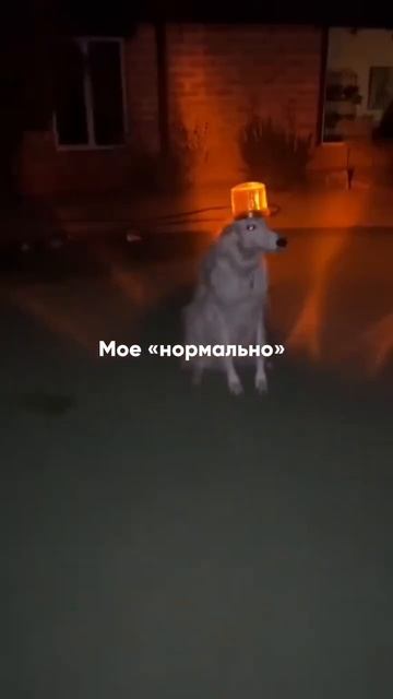 Узнай, как избавиться от болей в спине 👇 #short #shorts #drevmass смотреть онлайн