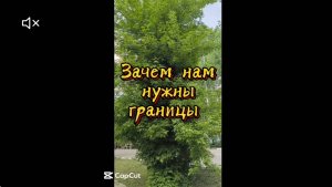 Для чего границы нужны? 
Почему границы  важны?