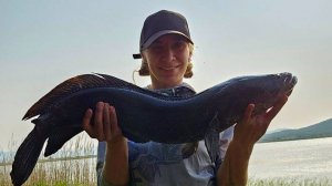 Трофейный змееголов