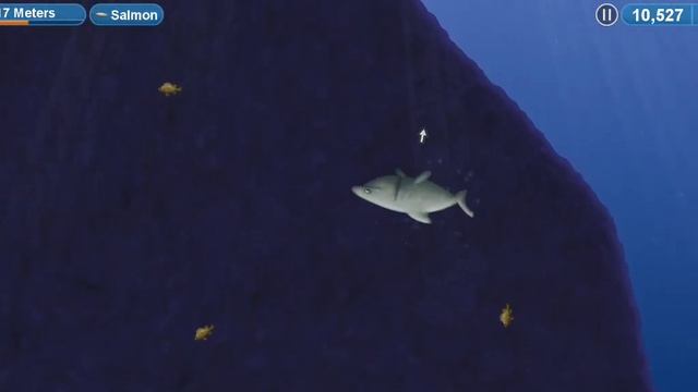 Играем в TASTY PLANET FOREVER за Акулу! | pashka kleviy смотреть онлайн