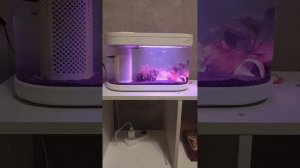 Купили умный аквариум xiaomi c180. Часть 1: запускаем аквари