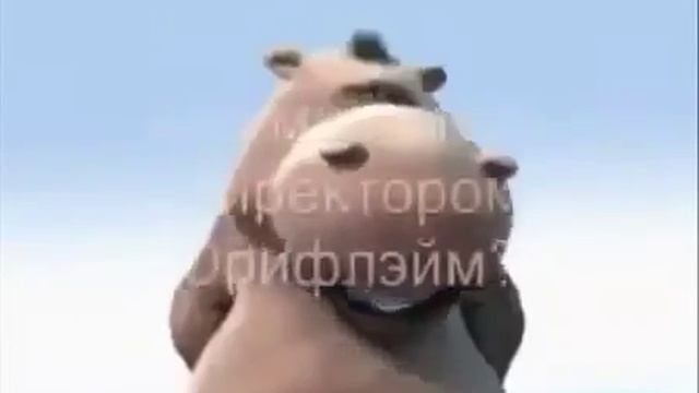 Волшебная Кнопка Роста ЕСТЬ!