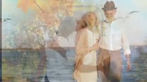 Поздняя любовь. Музыка и исполнение Пётр Сотник  Слова