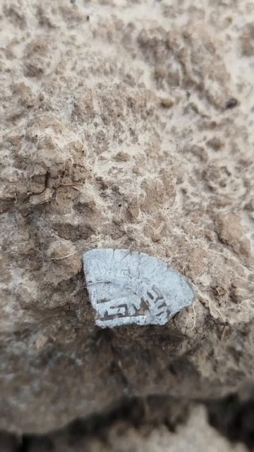 Коп 2024 | Осенний коп с металлоискателем xp deus #2024 #коп #ме смотреть онлайн