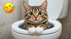 ЛУЧШИЕ ПРИКОЛЫ 🤗 САМЫЕ ЗАБАВНЫЕ ЖИВОТНЫЕ🤣😸ТОП приколов с животными👹ЛУЧШИЕ ЖИВОТНЫЕ