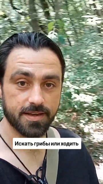 Прогулка в лесу 🤣 #лес #природа #погода #shorts #прикол #юг смотреть онлайн