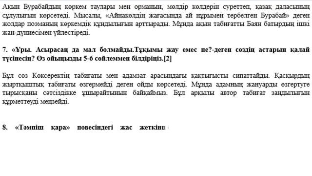 7 сынып Қазақ әдебиеті 3 тоқсан ТЖБ 2 нұсқа 2