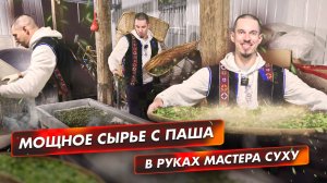 Путешествие листа: из чайного сада Паша в ручное производство на Суху
