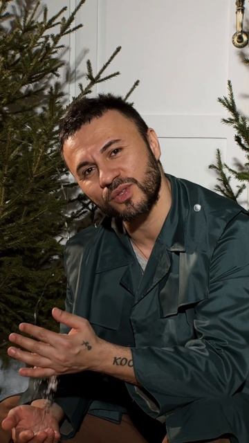 Эль - Ёлочка #happynewyear#music#2025#song#singer смотреть онлайн