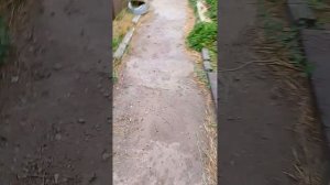 еду к бабушке)))