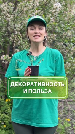 Декоративность и польза в одной ягоде 💚