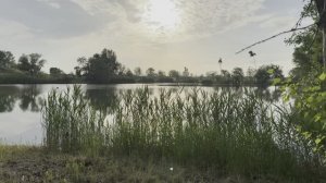 Фидерная рыбалка в Осетии.