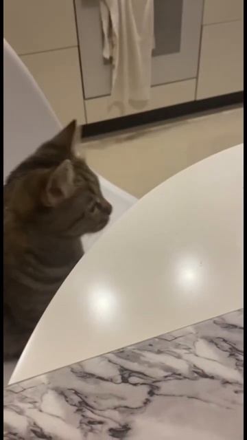 Дуся ест семечки🌻 смотреть онлайн