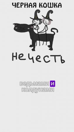 А вы верите в примету, связанную с черной кошкой? - Академия Сэма Онеллы и Брокколи