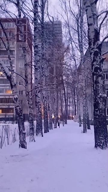 Белые берёзы!❄️🌳❄️🌳❄️💞 #екатеринбург смотреть онлайн